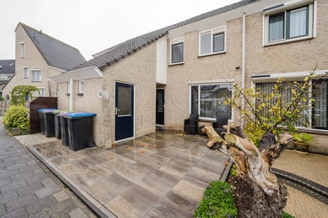 undefined main image