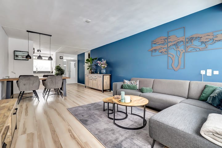 Malvert 6459 main image