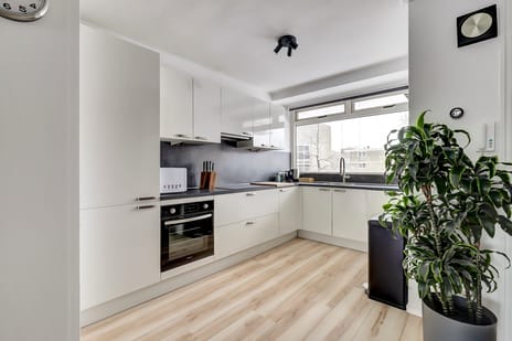 Malvert 6459 secondary image