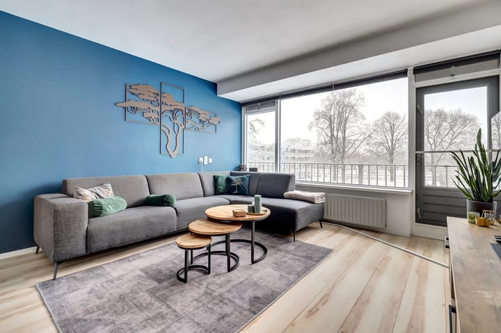 Foto 10 van Malvert 6459