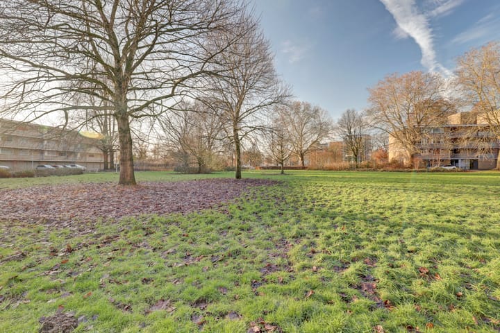 Foto 29 van Malvert 6459