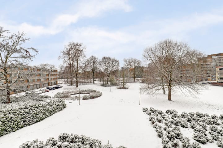 Foto 31 van Malvert 6459