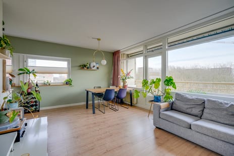 Livingstonelaan 174 secondary image