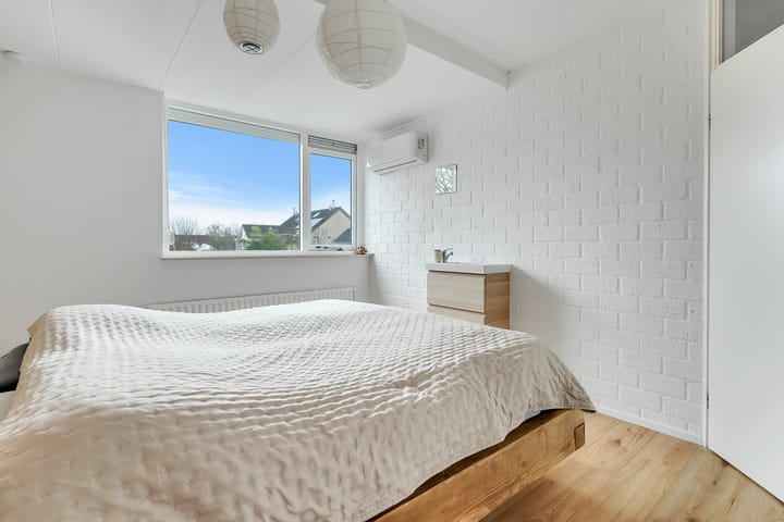 Foto 12 van Kalmoes 6