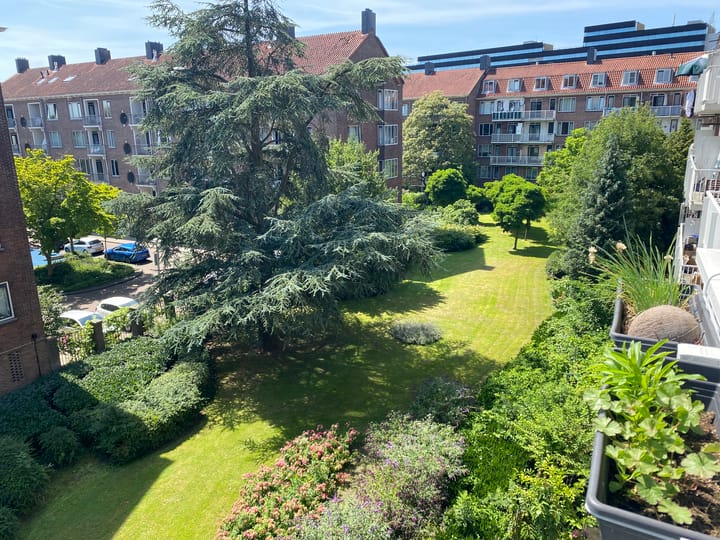 Foto 23 van Erasmusgracht 43-2