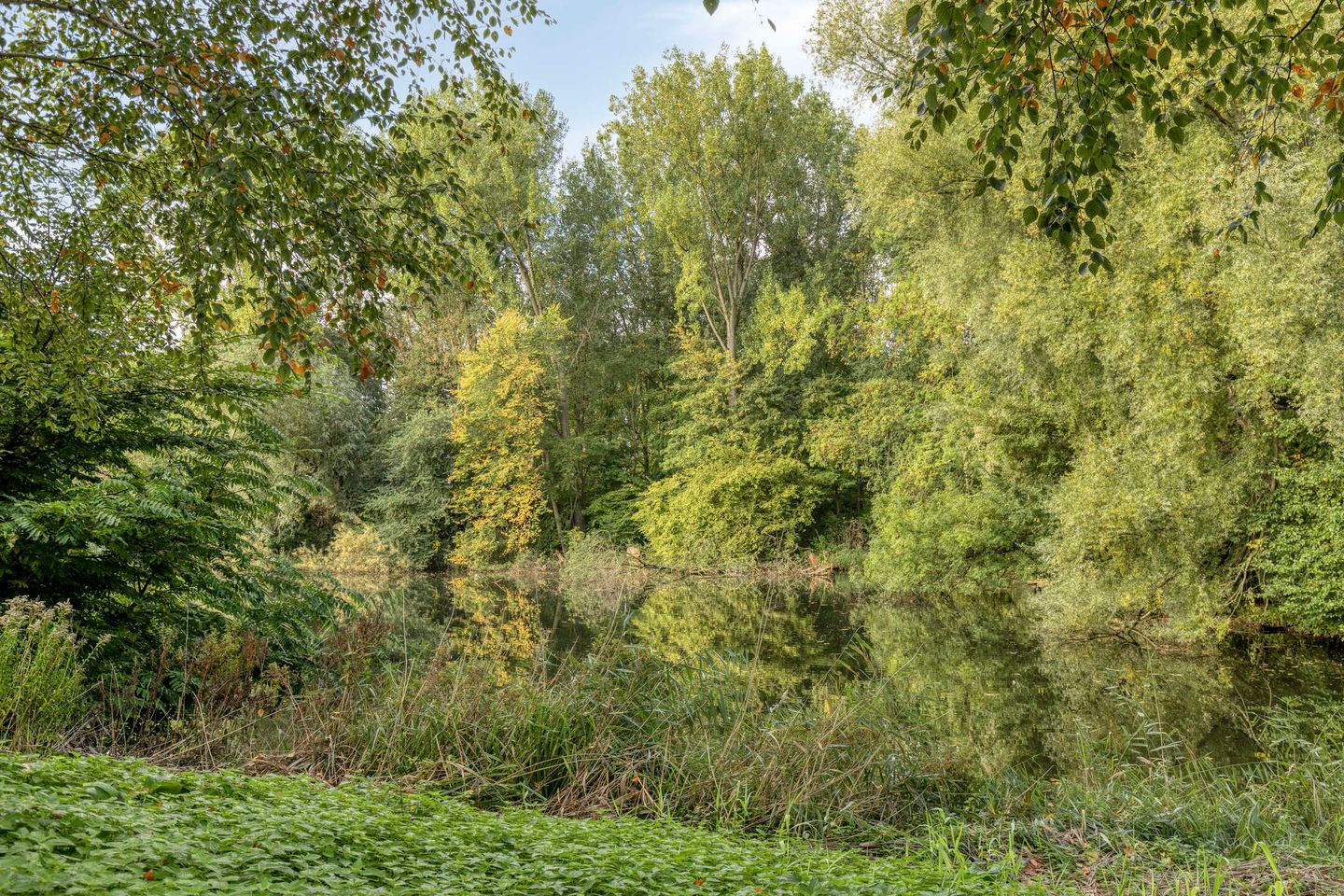 Photo 19 of Aaf Bouberstraat 106