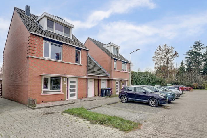 Foto 54 van Anthuriumsingel 63