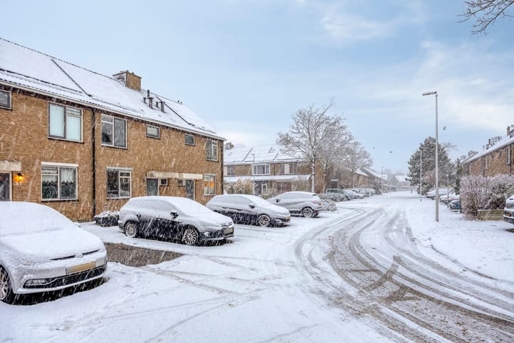 Foto 2 van Argonautenrede 35