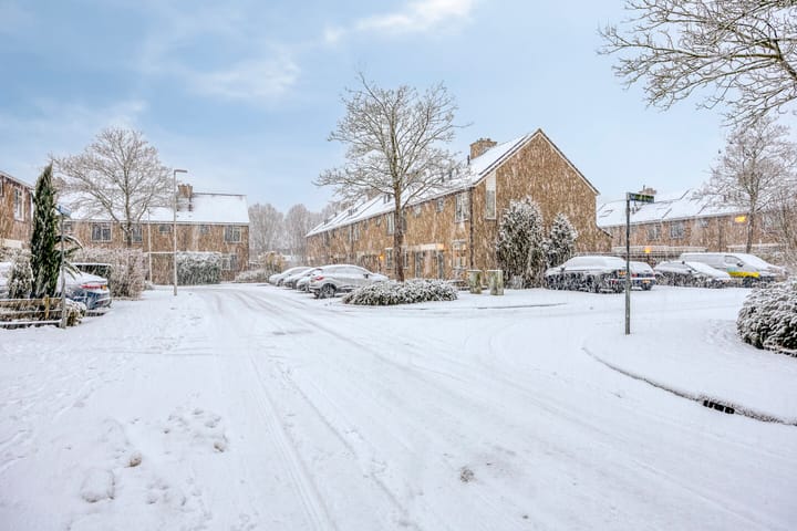 Foto 6 van Argonautenrede 35