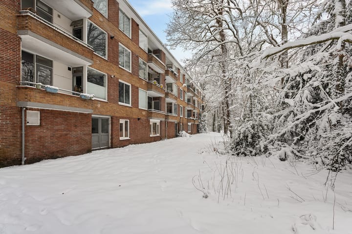 Foto 4 van Plesmanstraat 343