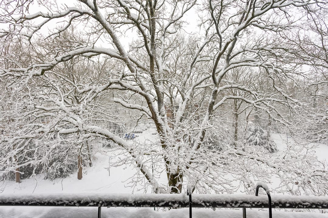 Foto 28 van Plesmanstraat 343