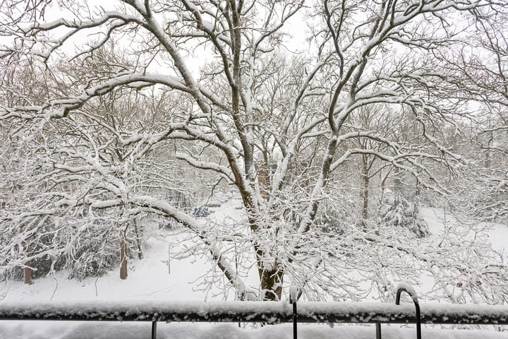 Foto 28 van Plesmanstraat 343