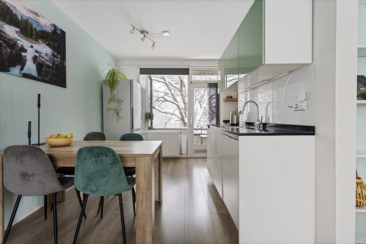 Foto 17 van Plesmanstraat 343