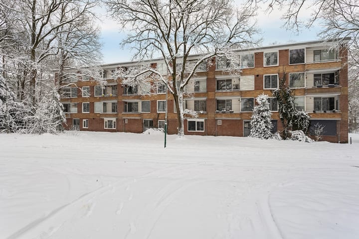 Foto 38 van Plesmanstraat 343