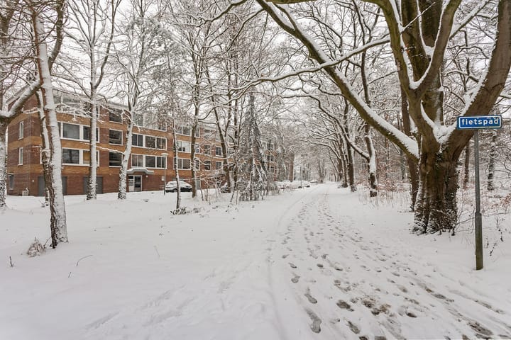 Foto 36 van Plesmanstraat 343