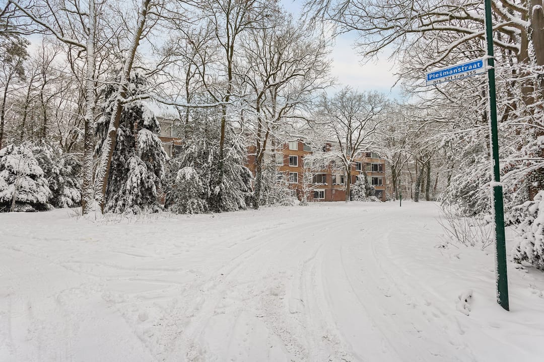 Foto 37 van Plesmanstraat 343