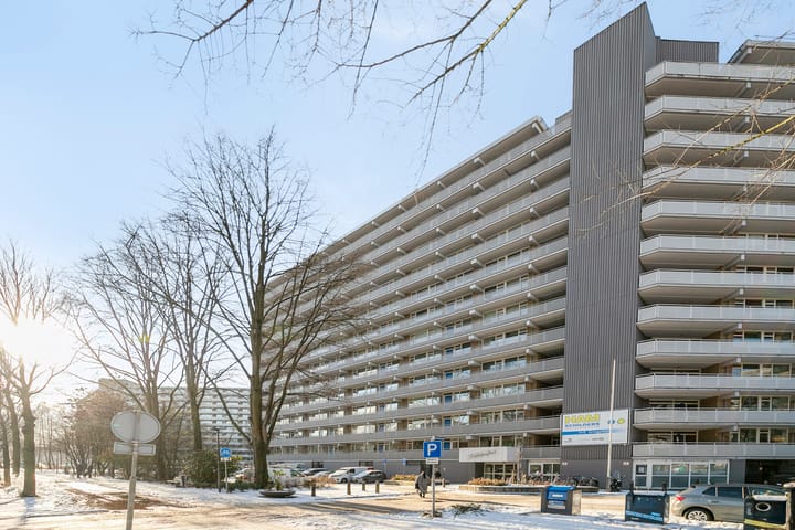 Foto 4 van Griegplein 112