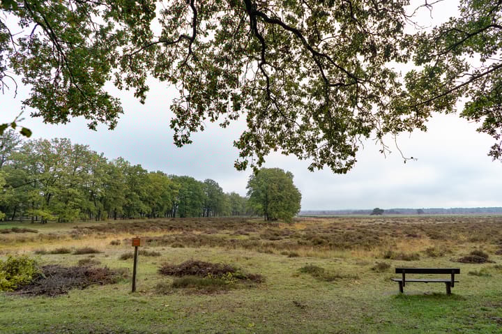 Foto 57 van Anastatiusweg 25