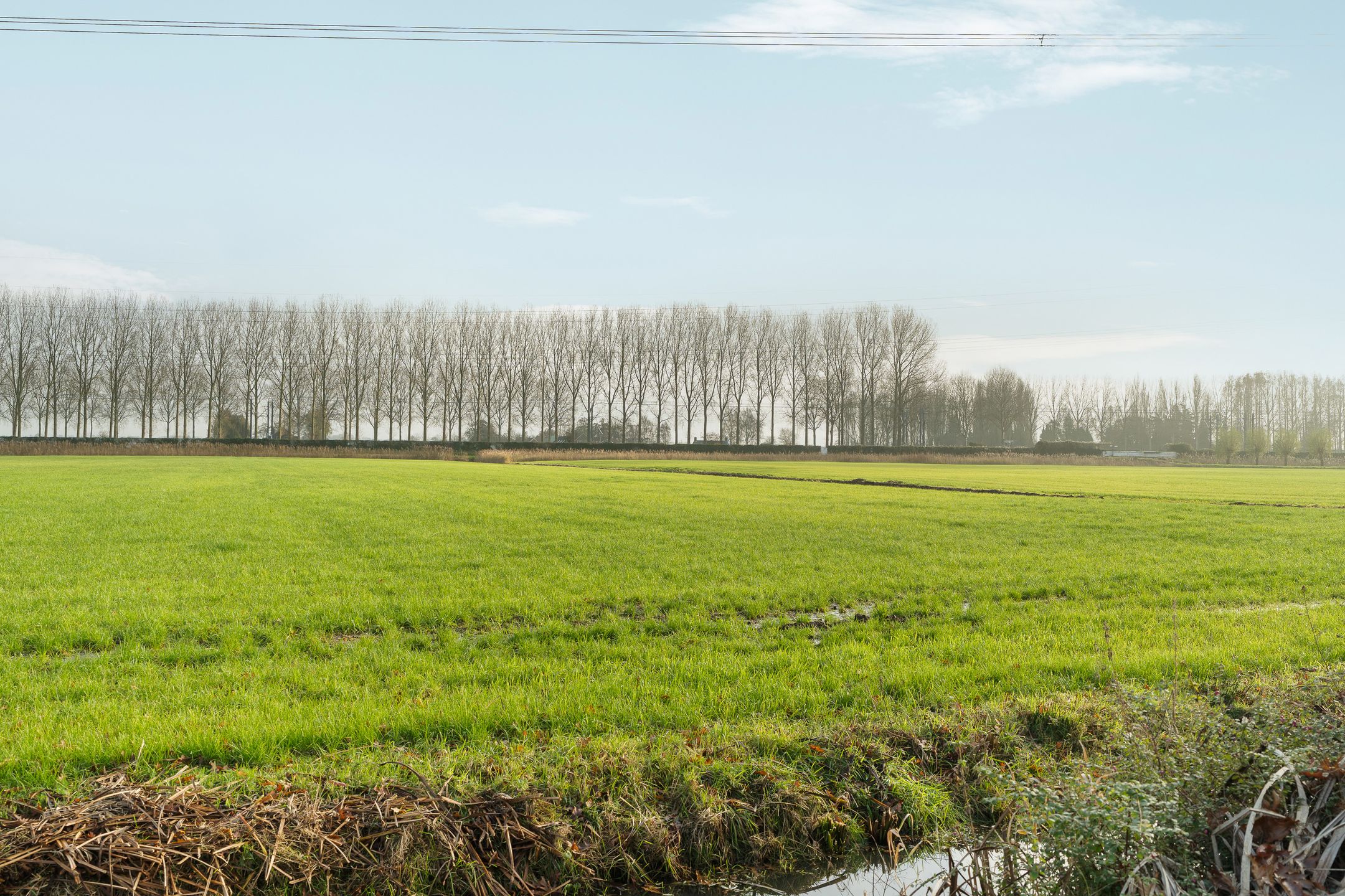 Photo 51 of Voorburgstraat 38