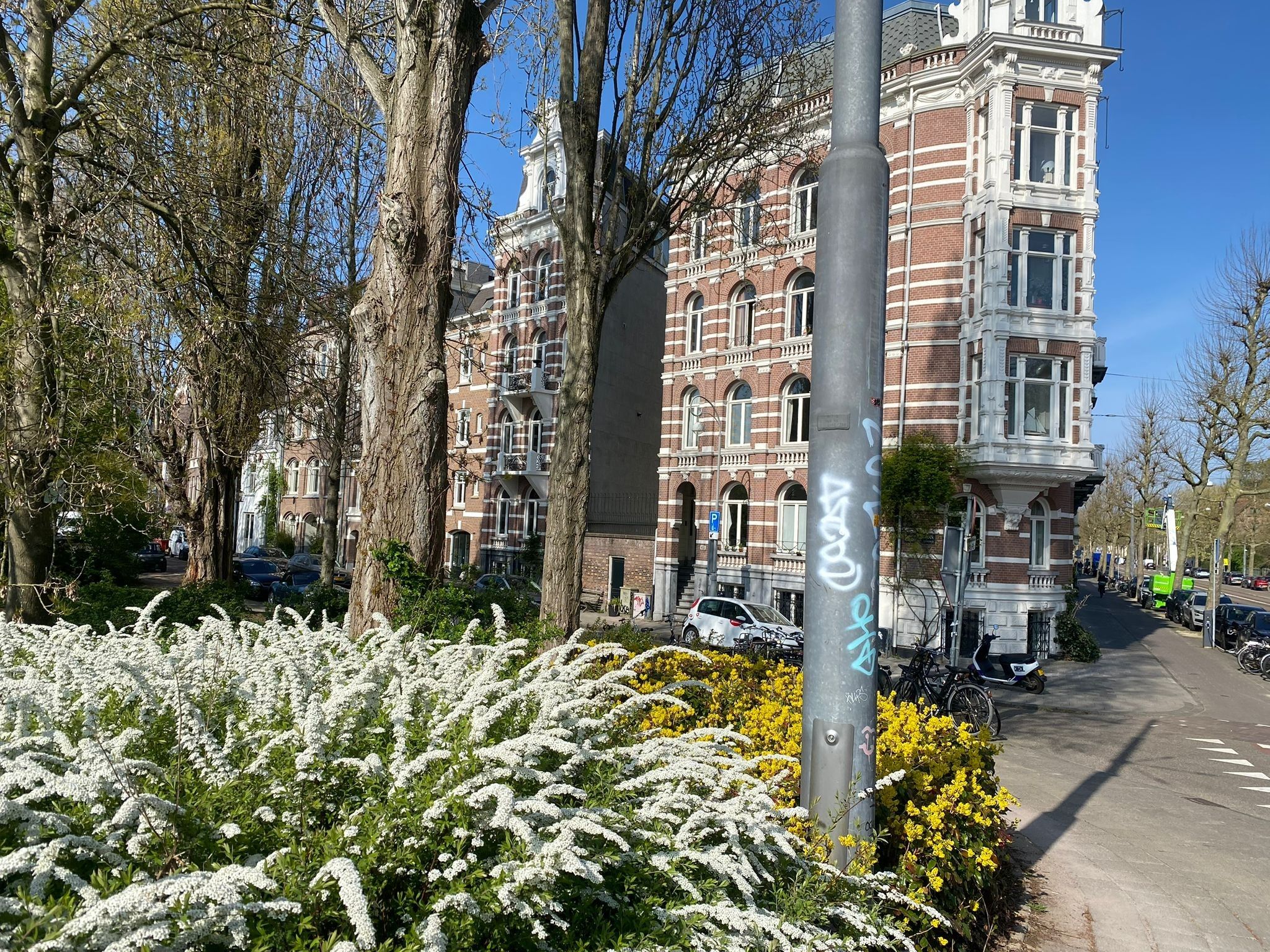 Foto 33 van Plantage Middenlaan 84-H