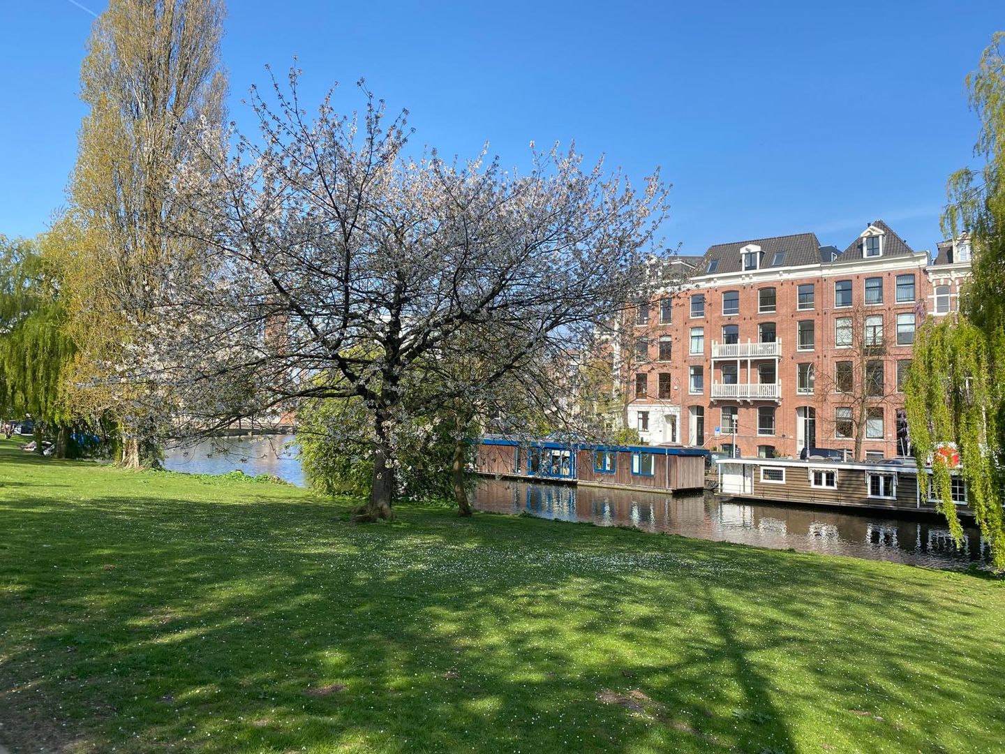 Foto 34 van Plantage Middenlaan 84-H