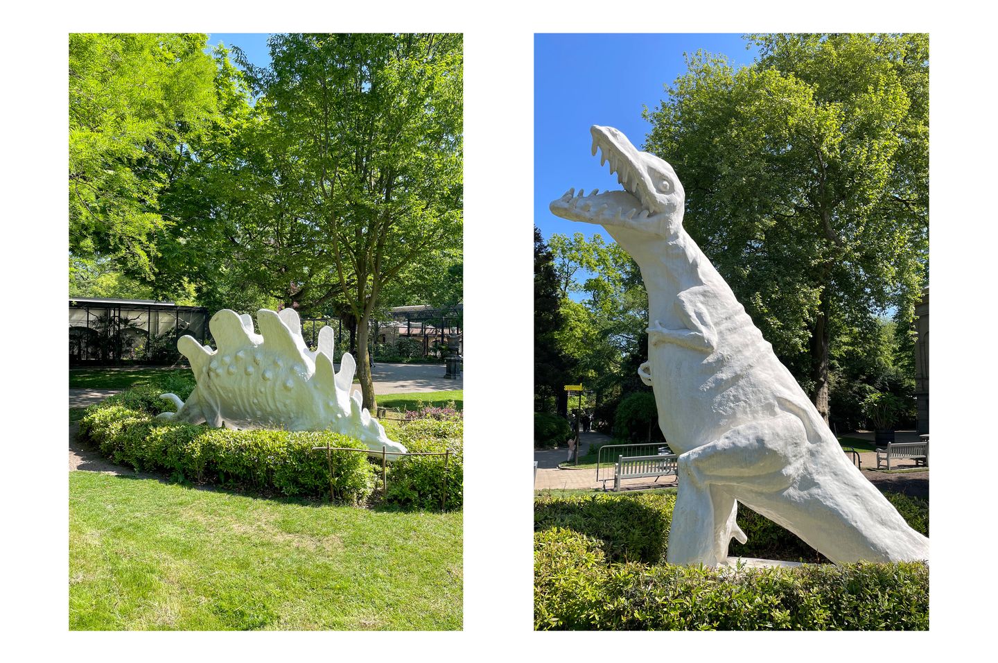 Foto 35 van Plantage Middenlaan 84-H