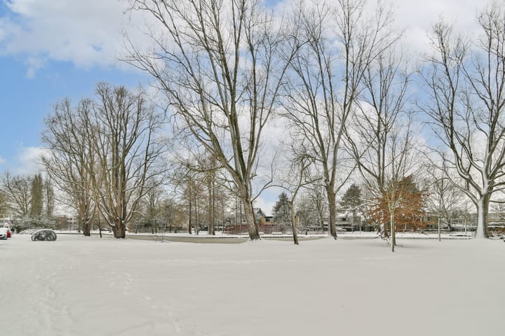 Foto 31 van Bachlaan 70