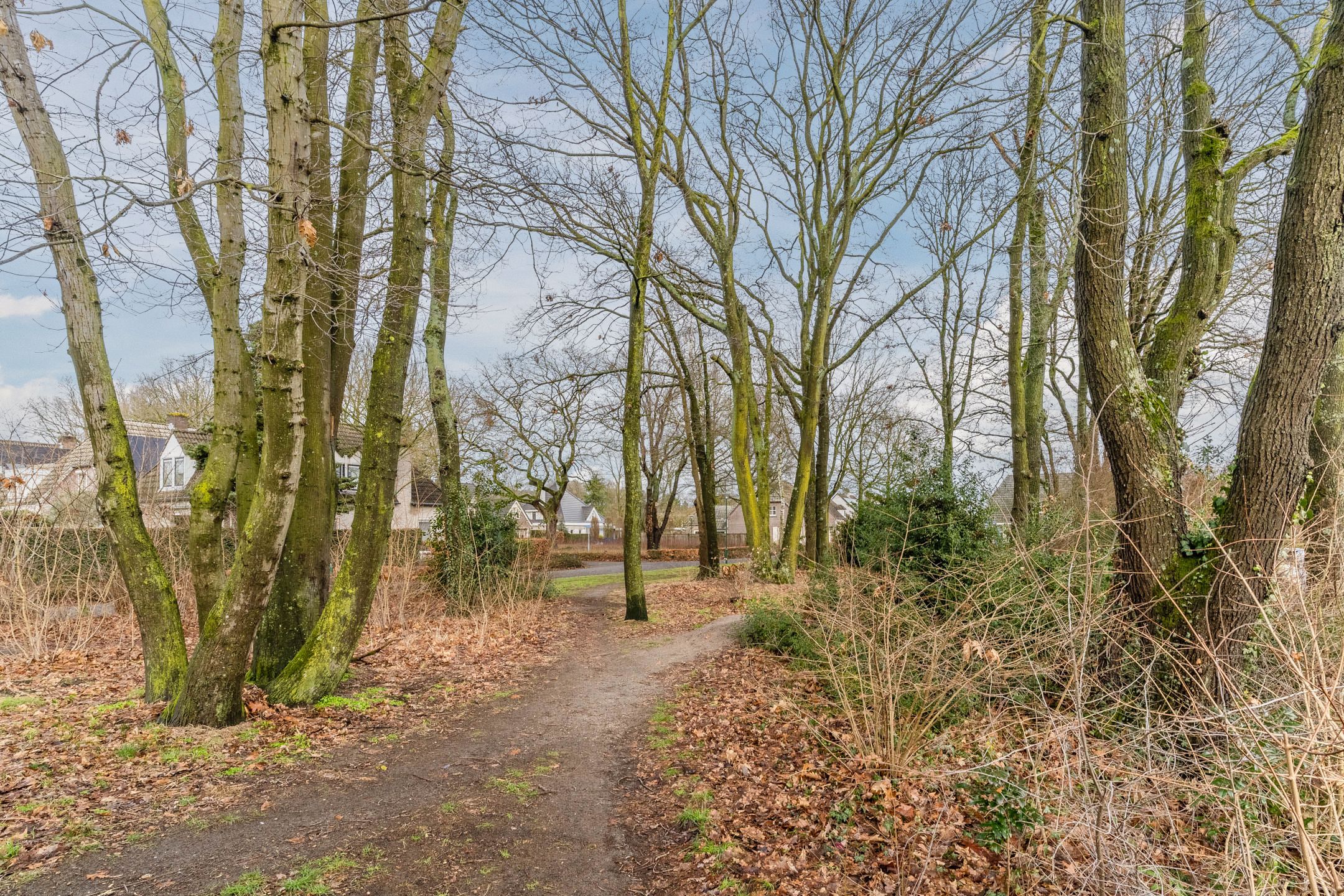 Foto 36 van Vendelier 19