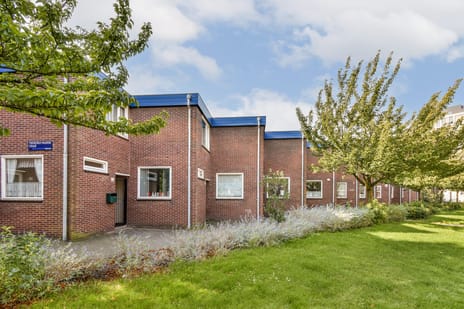 Theodorus Majofskistraat thumbnail