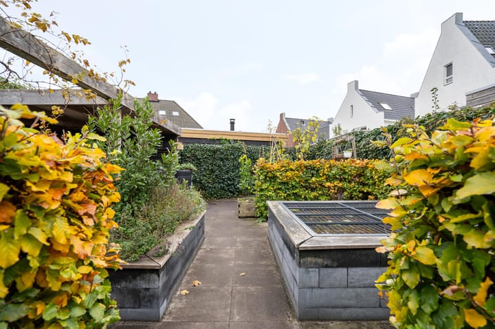 Foto 39 van De Zwaan 2