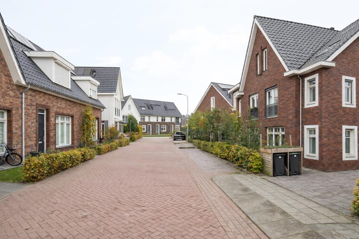 Foto 45 van De Zwaan 2