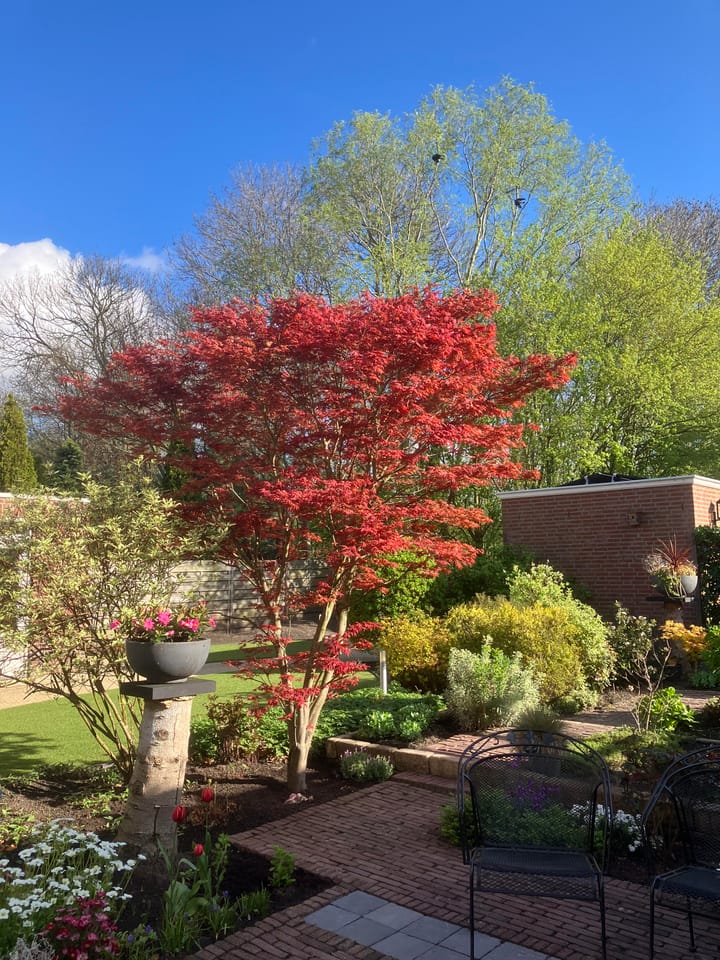 Foto 18 van Boswinde 56