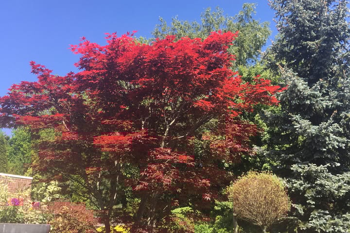 Foto 19 van Boswinde 56