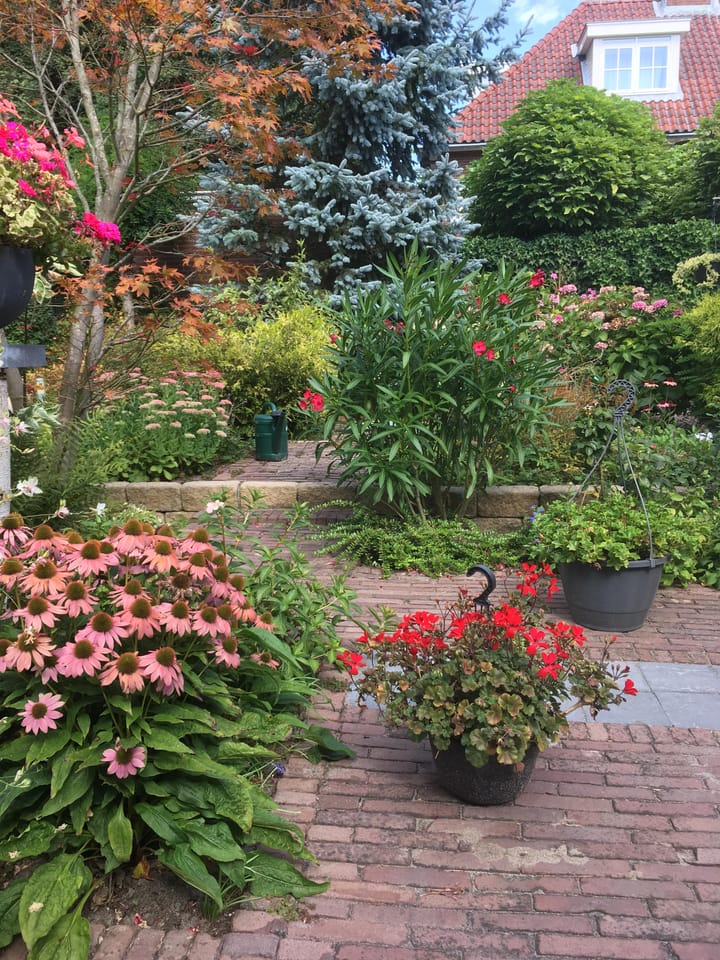 Foto 20 van Boswinde 56