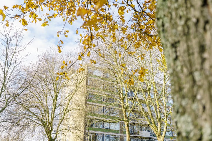 Foto 14 van Het Kleine Loo 170