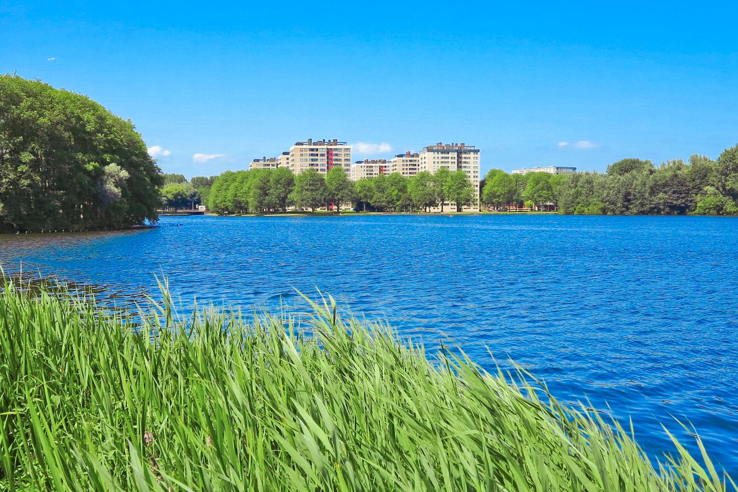 Photo 20 of Ruimzicht 227