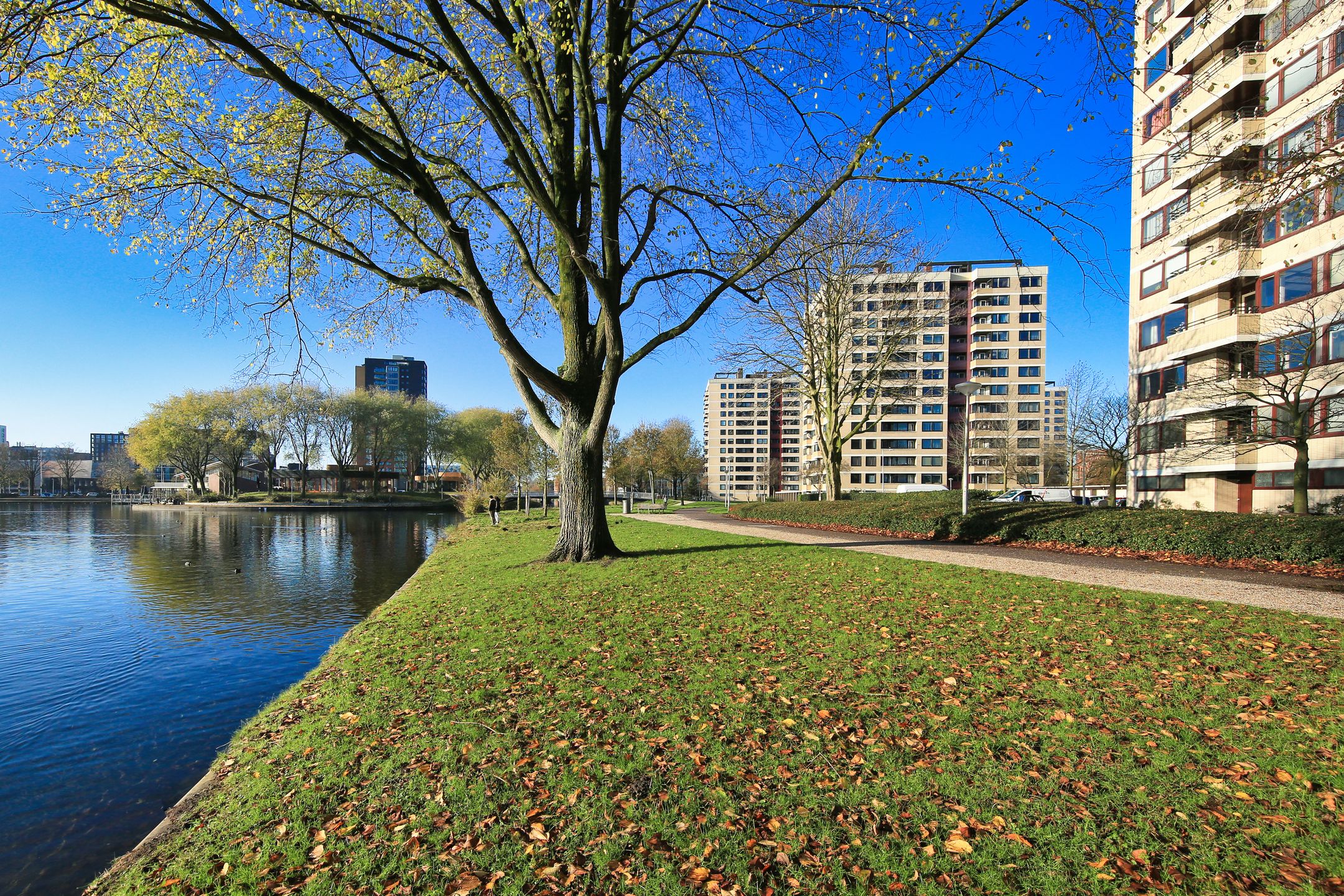 Photo 30 of Ruimzicht 227