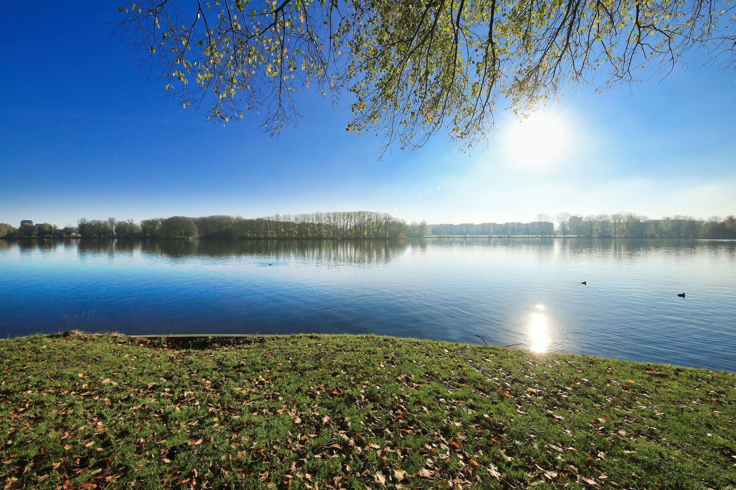 Photo 35 of Ruimzicht 227