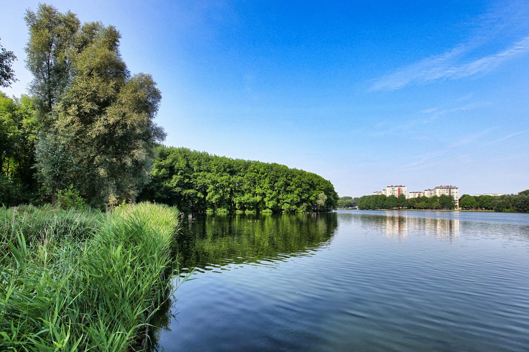 Photo 38 of Ruimzicht 227