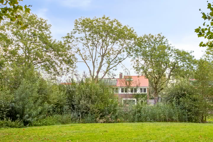 Foto 38 van Darwinplantsoen 6