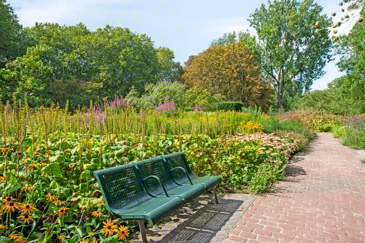 Foto 39 van Darwinplantsoen 6