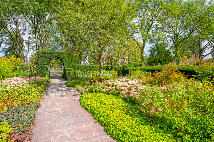 Foto 40 van Darwinplantsoen 6