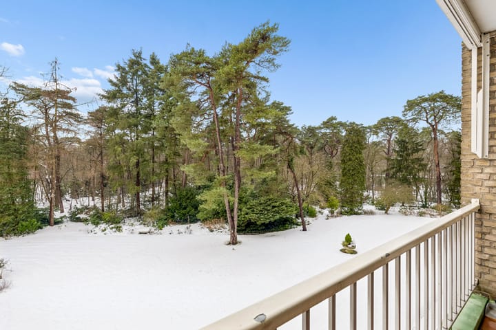 Photo 21 of Arnhemse Bovenweg 16-31