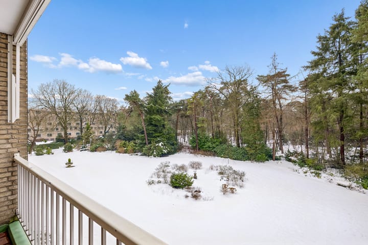 Photo 22 of Arnhemse Bovenweg 16-31