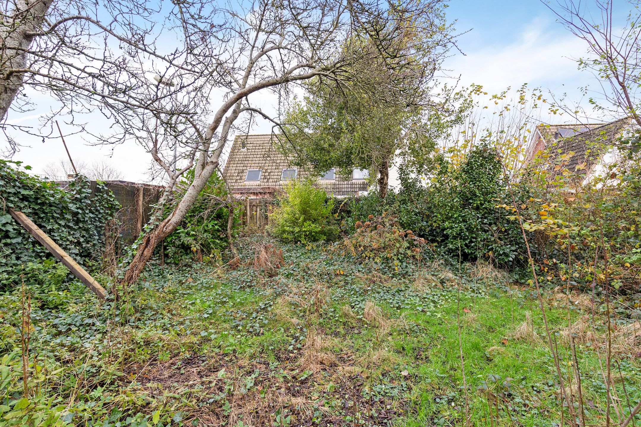 Photo 39 of 't Zand 68