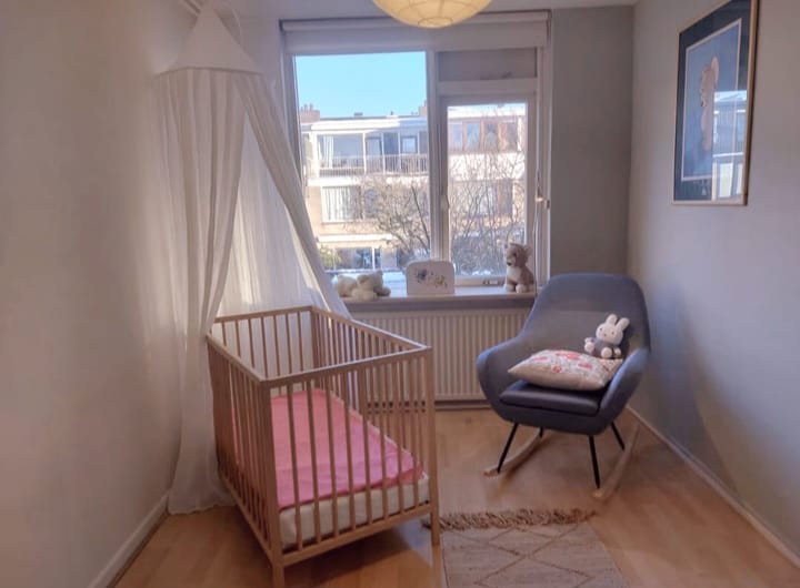 Foto 35 van Kernkampplantsoen 91