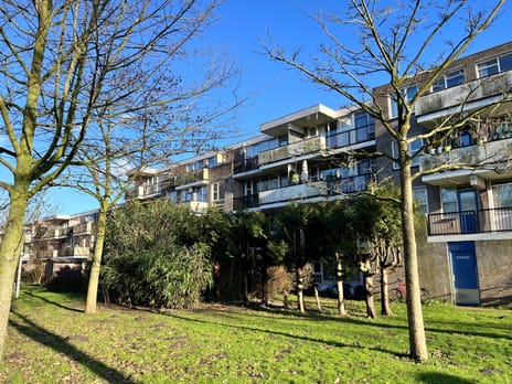 Wamelstraat thumbnail