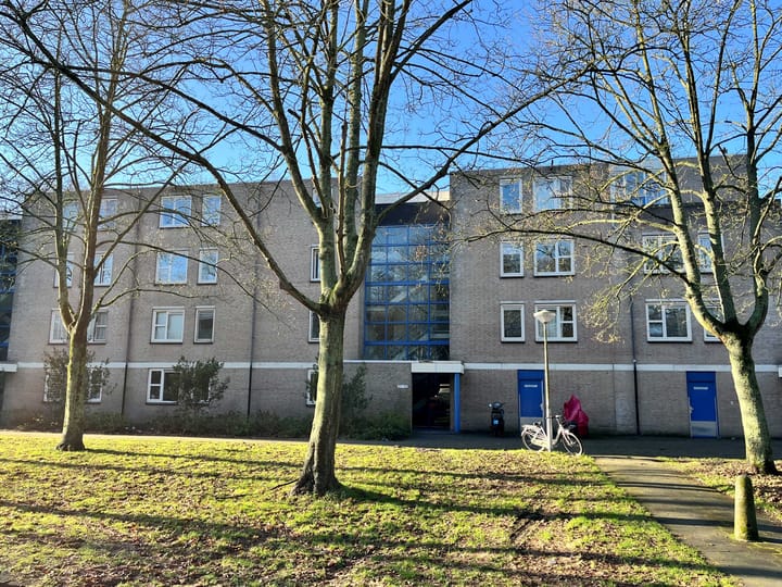 Foto 18 van Wamelstraat 136