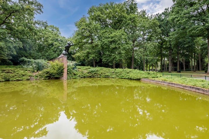 Foto 44 van Anemonestraat 14