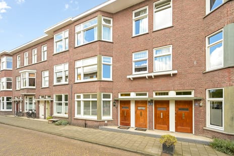De Bruynestraat thumbnail